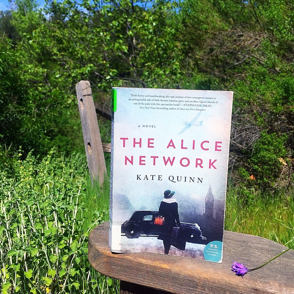 The Alice Network book